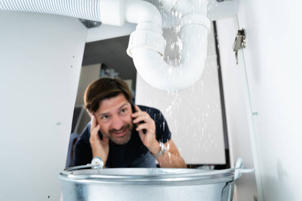 Best Plumbing Repair Near Me  in New Eagle, PA